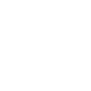 logo dell'ente salesiani per il sociale